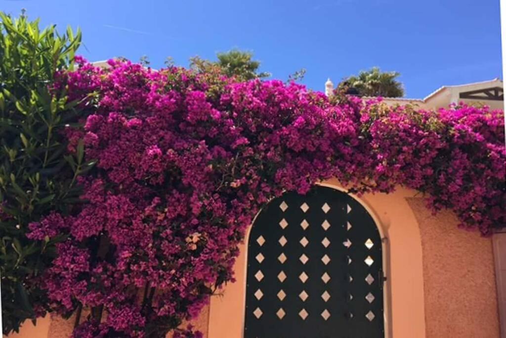 Vila Bela Nova Acacias 22 Luz Dış mekan fotoğraf